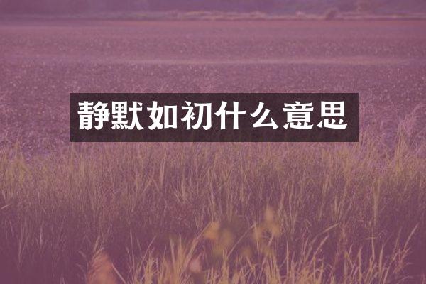 静默如初什么意思