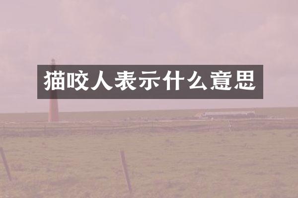 猫咬人表示什么意思