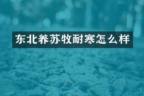 东北养苏牧耐寒怎么样