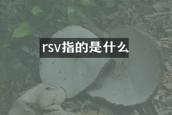 rsv指的是什么