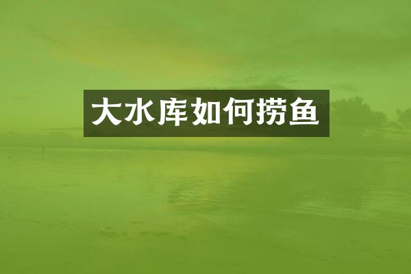 大水库如何捞鱼
