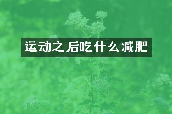 运动之后吃什么减肥