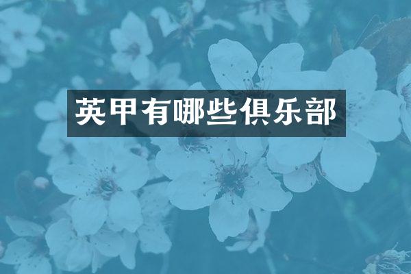 英甲有哪些俱乐部