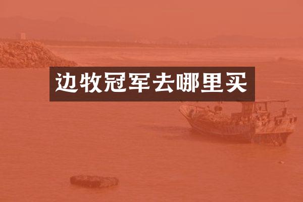 边牧冠军去哪里买