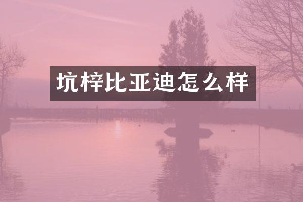 坑梓比亚迪怎么样