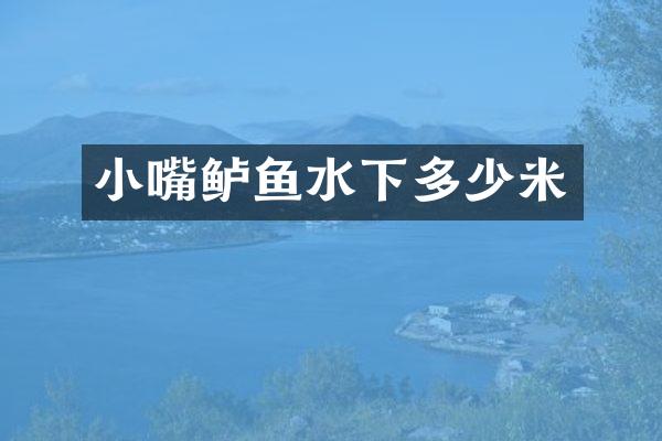 小嘴鲈鱼水下多少米