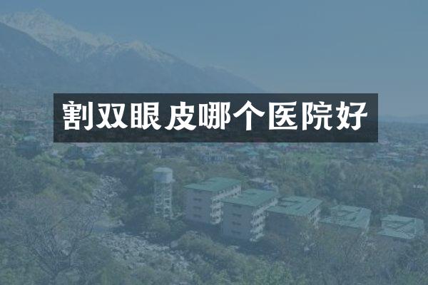 割双眼皮哪个医院好
