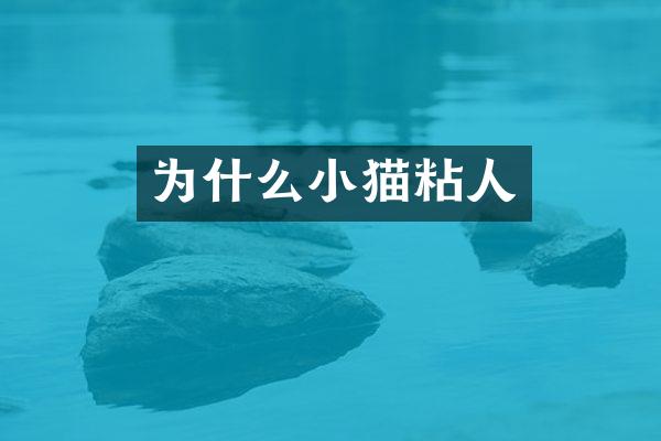 为什么小猫粘人