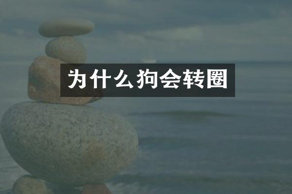 为什么狗会转圈