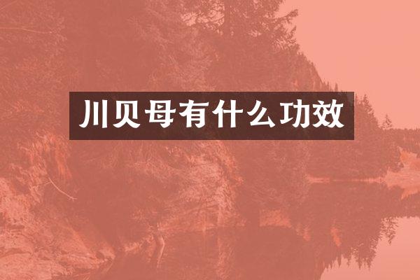川贝母有什么功效