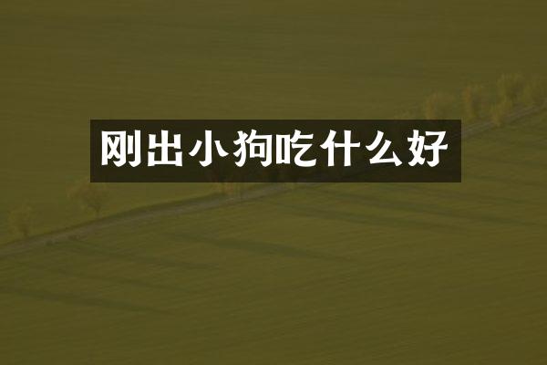 刚出小狗吃什么好