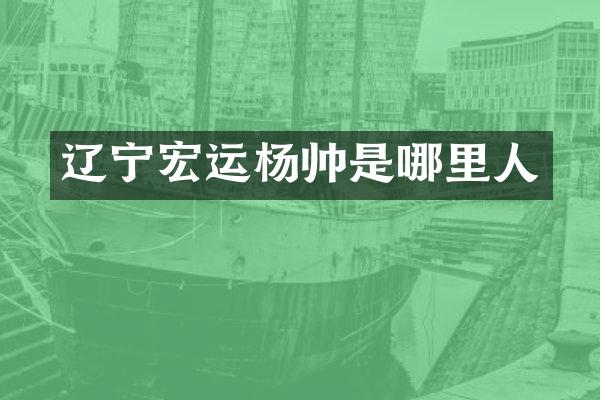 辽宁宏运杨帅是哪里人