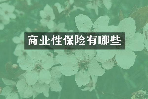 商业性保险有哪些