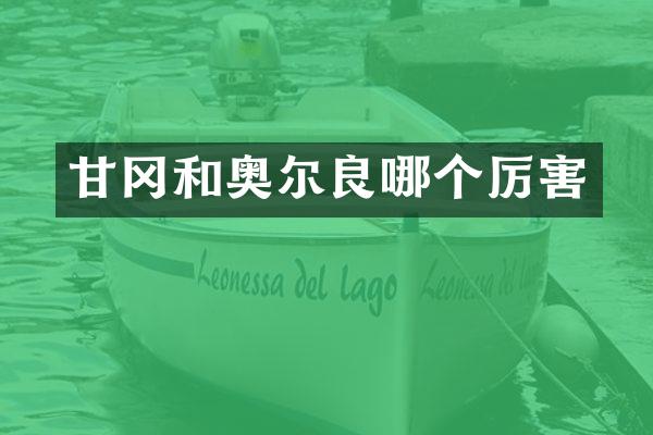 甘冈和奥尔良哪个厉害