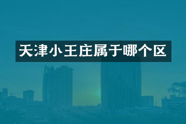 天津小王庄属于哪个区