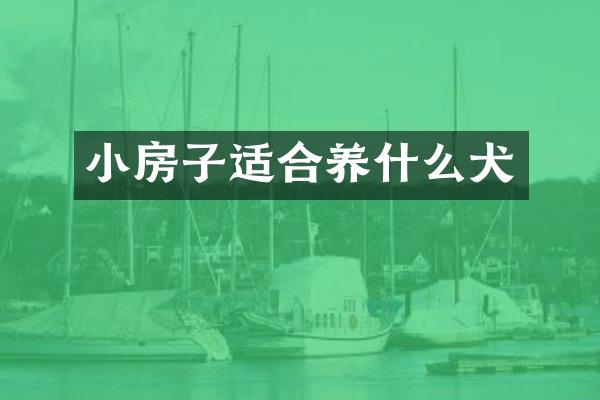 小房子适合养什么犬