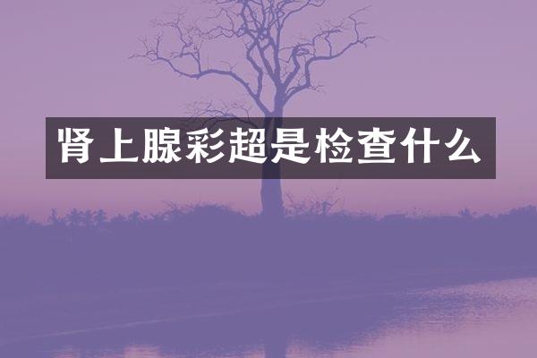 肾上腺彩超是检查什么