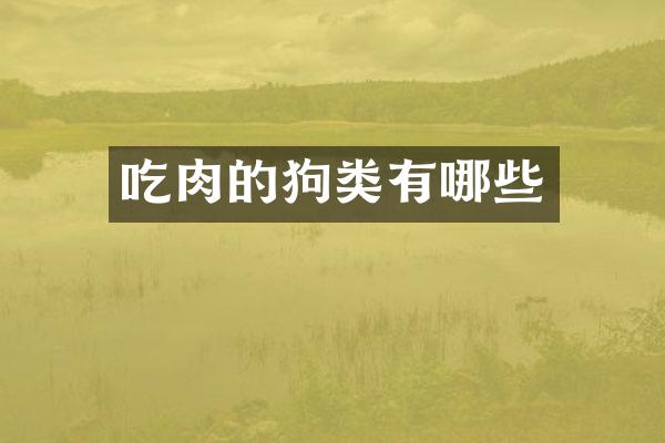 吃肉的狗类有哪些