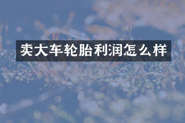 卖大车轮胎利润怎么样