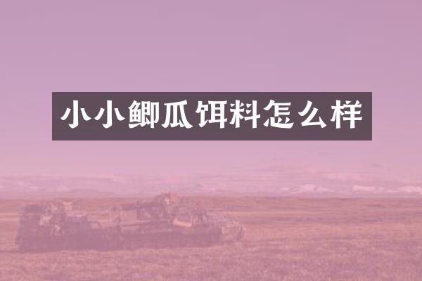 小小鲫瓜饵料怎么样