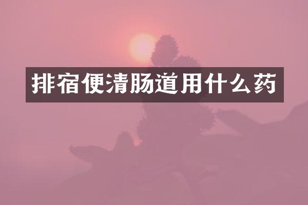 排宿便清肠道用什么药