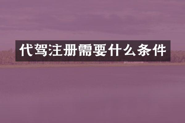 代驾注册需要什么条件
