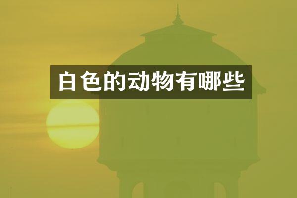 白色的动物有哪些