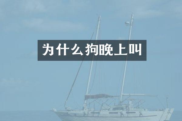 为什么狗晚上叫