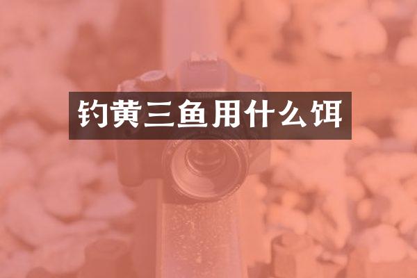 钓黄三鱼用什么饵