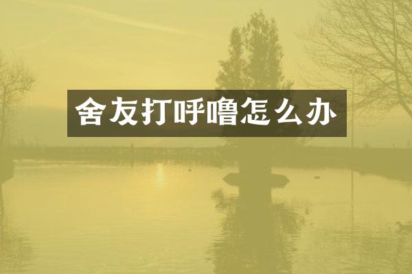 舍友打呼噜怎么办