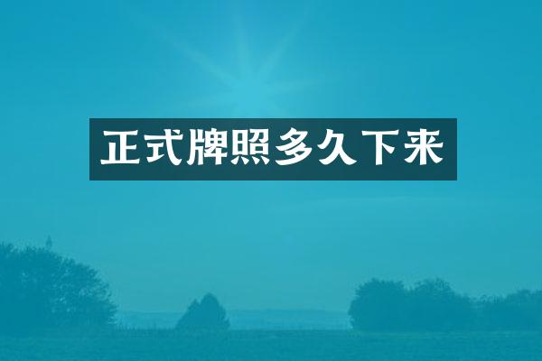 正式牌照多久下来