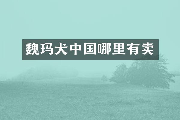 魏玛犬中国哪里有卖