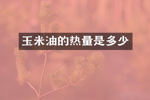 玉米油的热量是多少