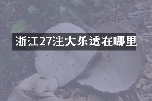 浙江27注大在哪里