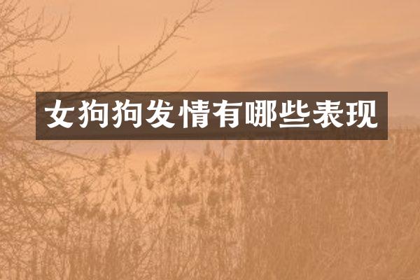 女狗狗发情有哪些表现