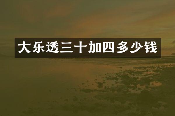 大三十加四多少钱