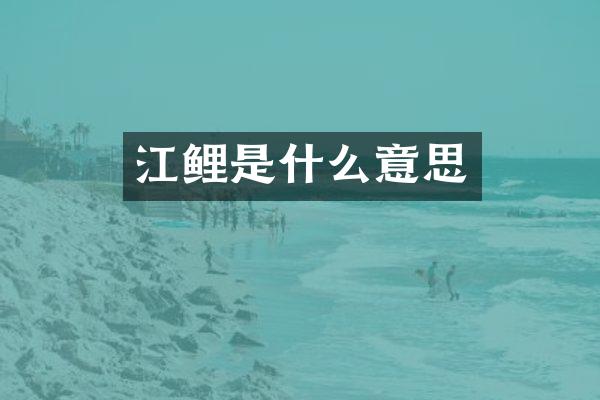 江鲤是什么意思