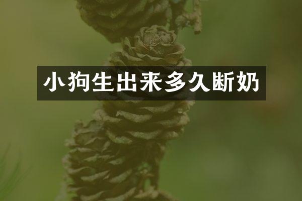 小狗生出来多久断奶