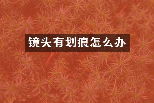 镜头有划痕怎么办