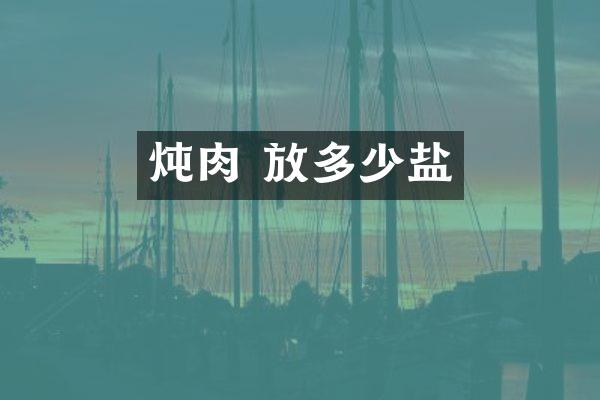 炖肉 放多少盐