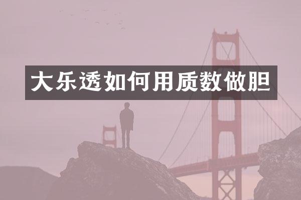 大如何用质数做胆