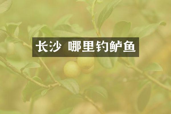 长沙 哪里钓鲈鱼