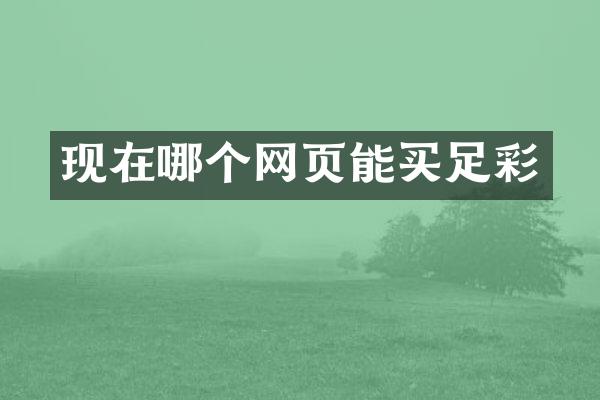 现在哪个网页能买