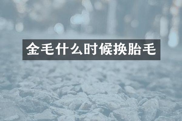 金毛什么时候换胎毛
