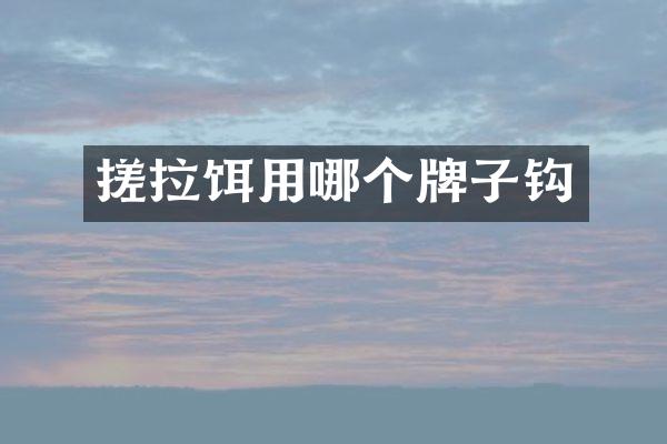 搓拉饵用哪个牌子钩