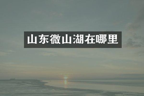 山东微山湖在哪里
