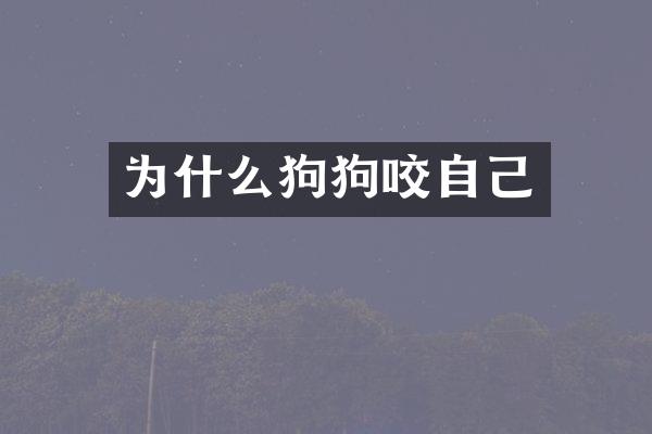 为什么狗狗咬自己