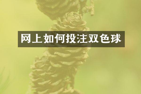 网上如何双色球
