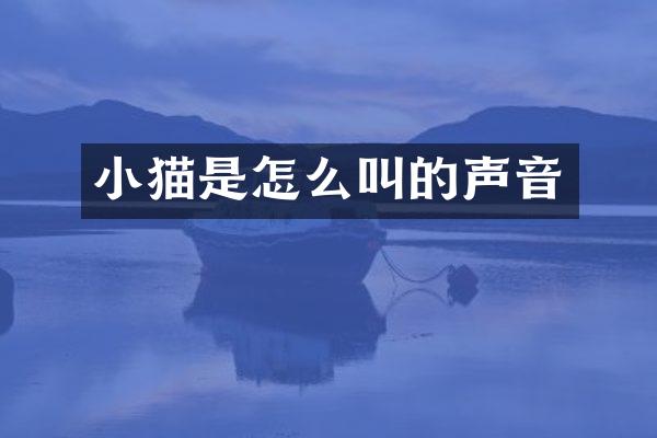 小猫是怎么叫的声音