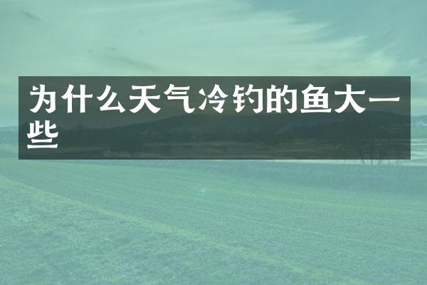 为什么天气冷钓的鱼大一些